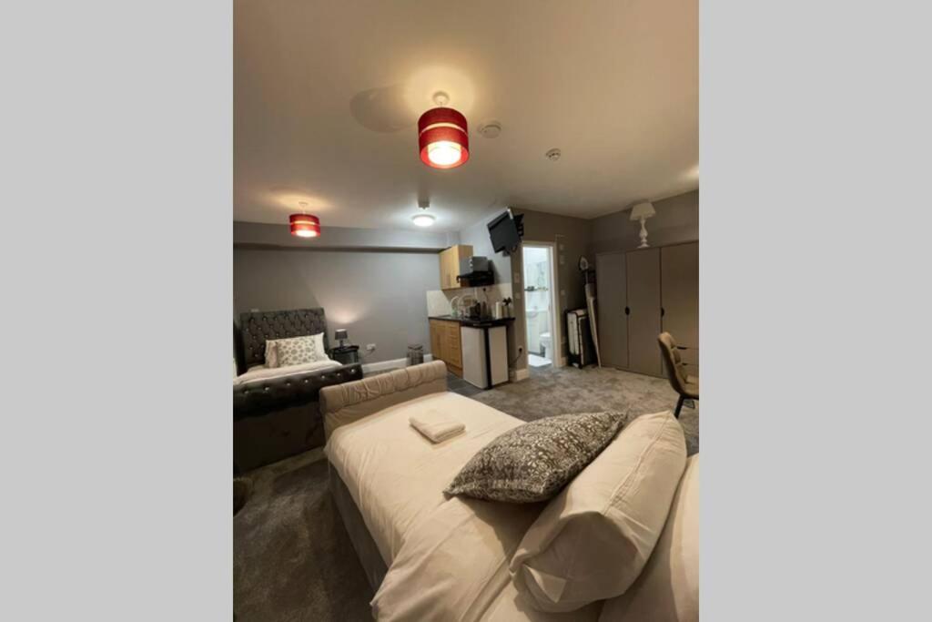 Spacious, Bright Twin Studio Apartment London Exterior foto